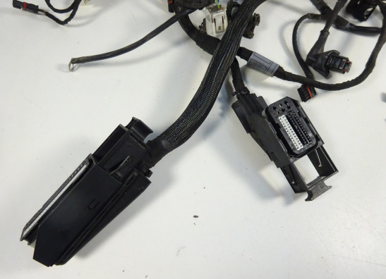 Kabelbaum BMW K 1200 R 