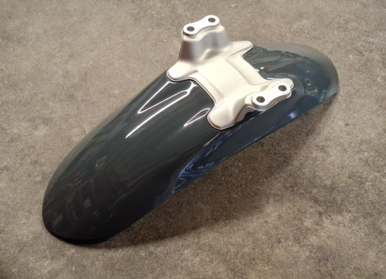 Voorspatbord BMW R Nine T Pure