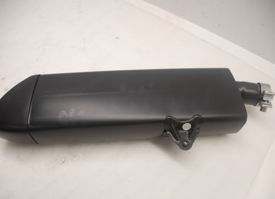 Auspuff Harley Davidson Pan America