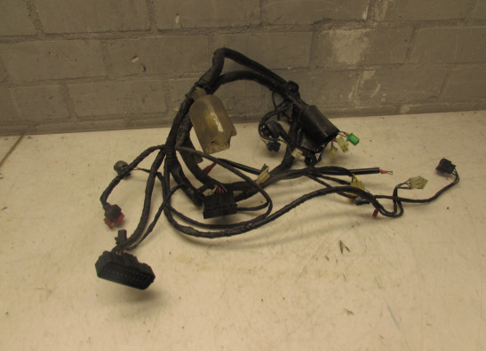 Kabelboom Honda VTR 1000 F