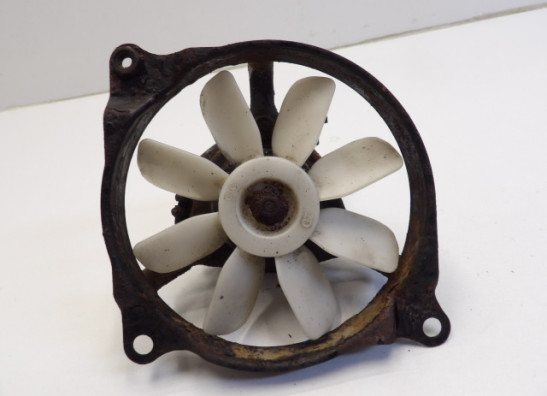 Fan Kawasaki EN 500 Vulcan