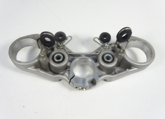 Kroonplaat Ducati monster 696