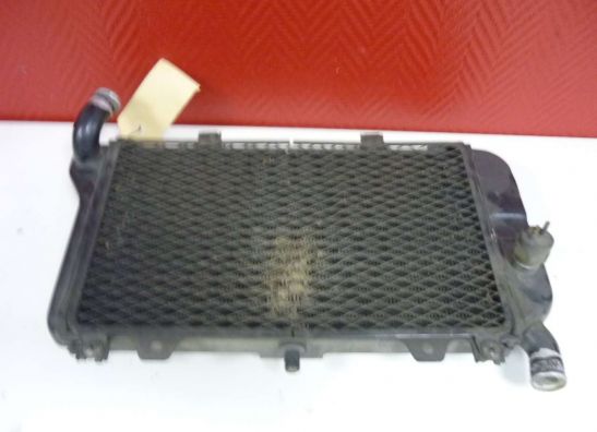 Radiateur Kawasaki ZZR 600