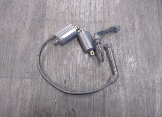 Zundspule Suzuki VL 800