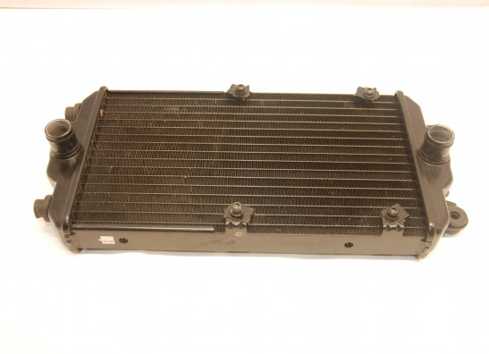 Radiateur Harley Davidson Street 750