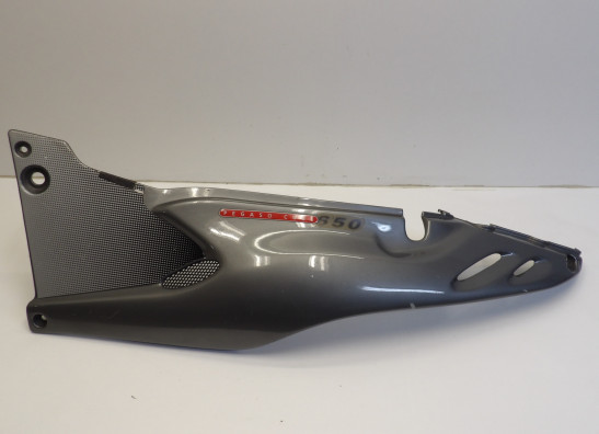Linker achterkant Aprilia Pegaso