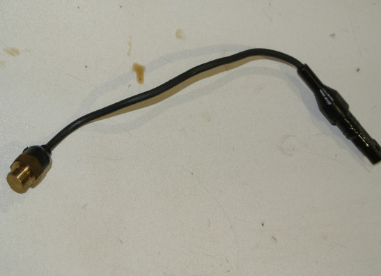 Sensor - overige elektronica BMW R 1200 R