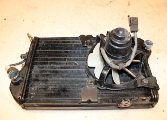 Radiateur Kawasaki LTD 450