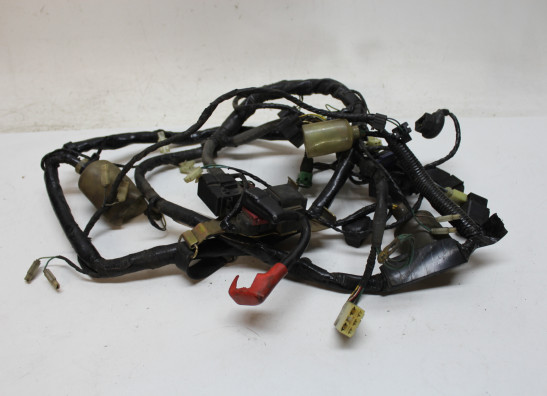 Wire Harness Honda XL 1000 V Varadero