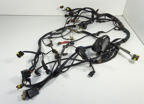 Wire Harness Ducati Monster 695