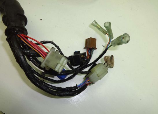 Wire Harness Honda CBF 500