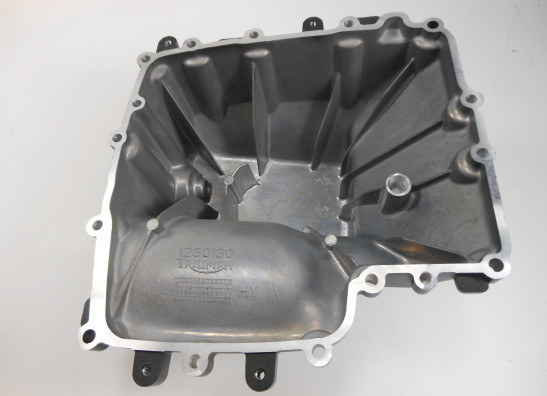 Carterpan Triumph Daytona 765