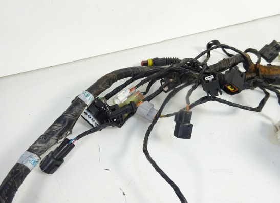 Kabelboom KTM 690 Duke 4