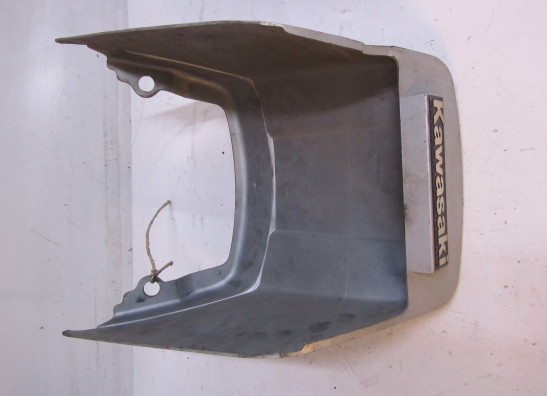 Heck Kawasaki Z 1000