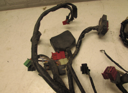 Kabelboom Honda CBR 600 F