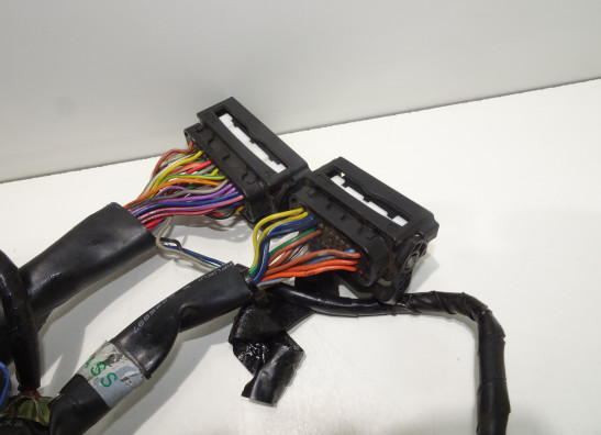 Kabelbaum KTM 1290 Super duke