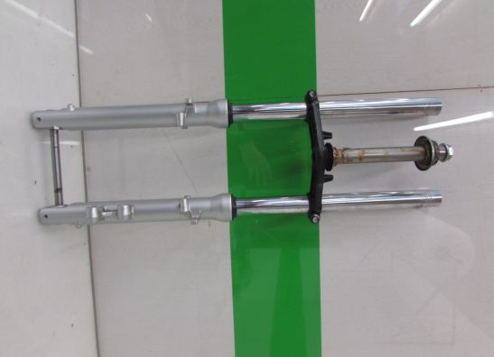 Voorpoten compleet Kawasaki ZZR 250