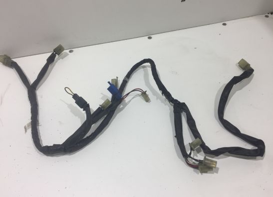 Wire Harness Yamaha FJR 1300