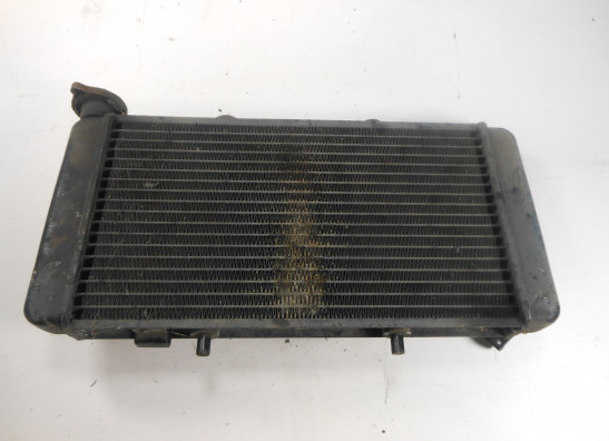 Radiator BMW F 650