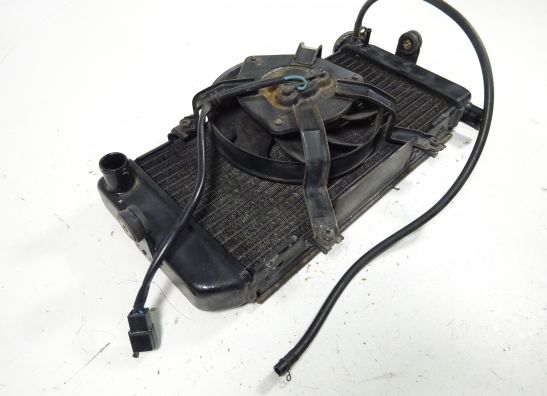 Radiateur Yamaha TDM