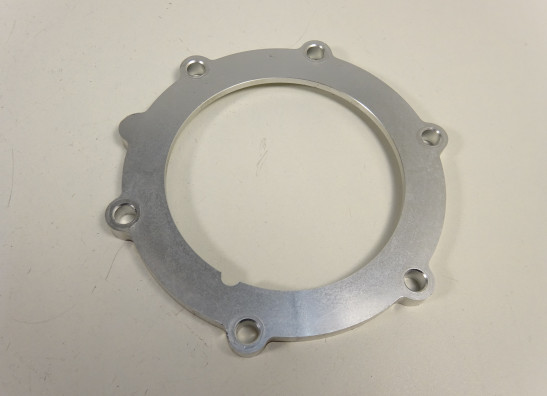 Brandstofpomp Triumph Tiger 1050