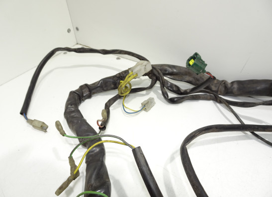 Wire Harness Aprilia RSV 1000