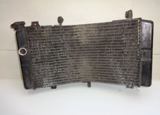Radiateur Suzuki GSX R 750