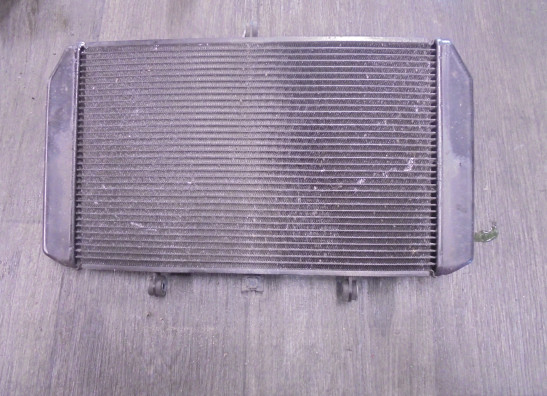 Radiator Kawasaki Z 800