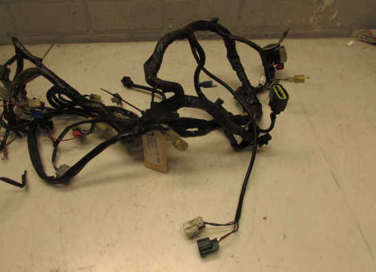 Kabelboom Yamaha FJR 1300