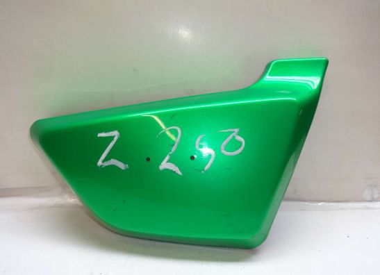 Seitenverkleidung rechts klein Kawasaki Z 250