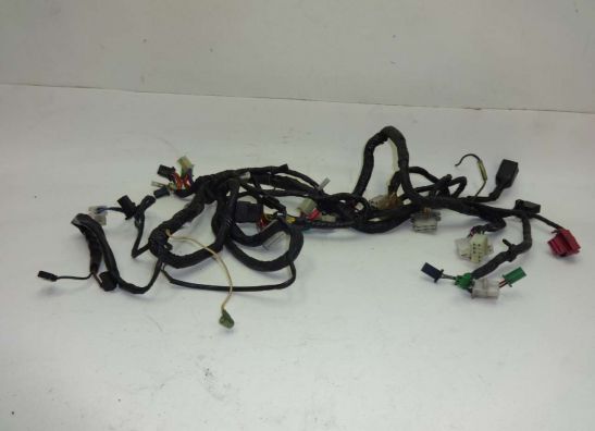 Wire Harness Kawasaki GPX 600