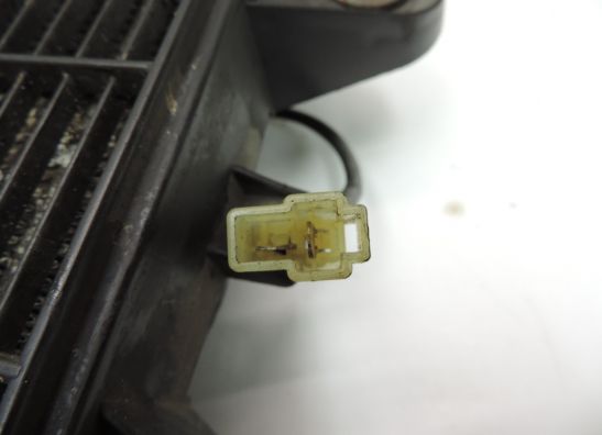 Radiator Triumph Trophy 1200