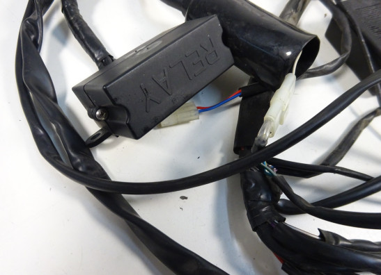 Kabelbaum Aprilia RSV 1000