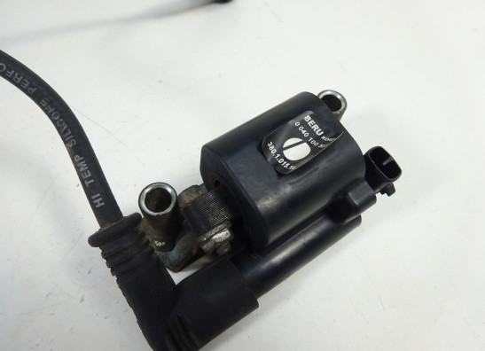 Bobine Ducati Monster 695