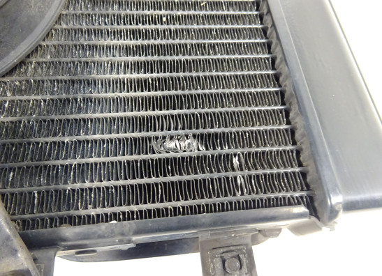Radiateur Kawasaki Z 750