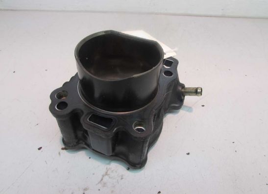 Cilinderblok Suzuki SV 650