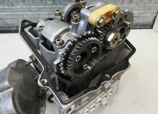 Cilinderkop Aprilia RSV 1000