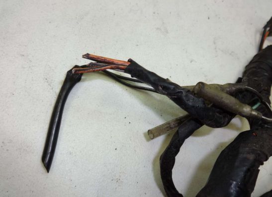 Kabelbaum Suzuki VX 800