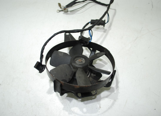 Fan Yamaha GTS 1000
