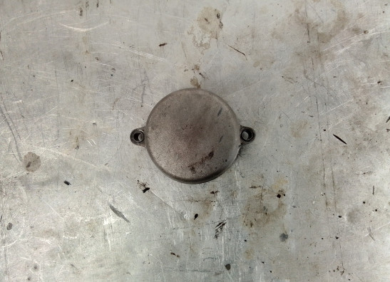 Engine cover Aprilia RSV 1000