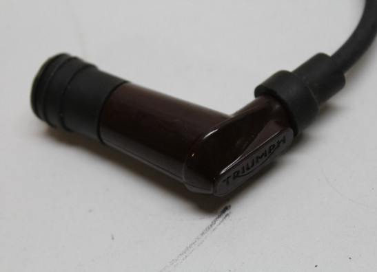 Bobine Triumph Bonneville T 120
