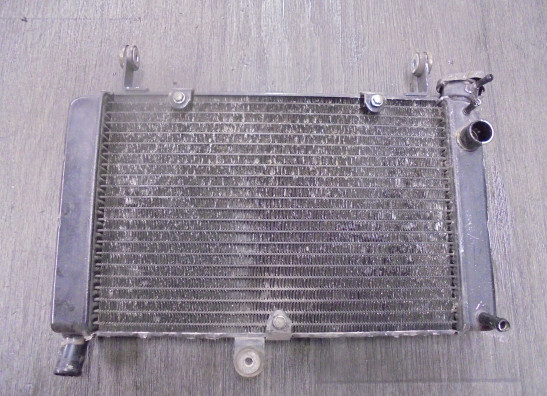 Kuhler Yamaha FZR 600