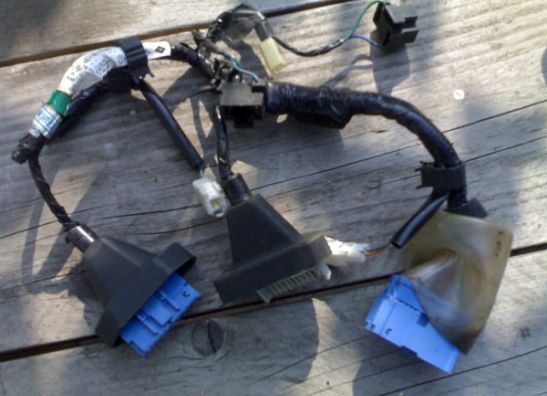 Wire Harness Honda CBR 1100 XX