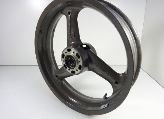 Voorvelg Ducati monster 600