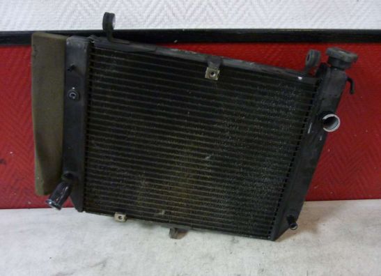 Radiateur Yamaha YZF R1