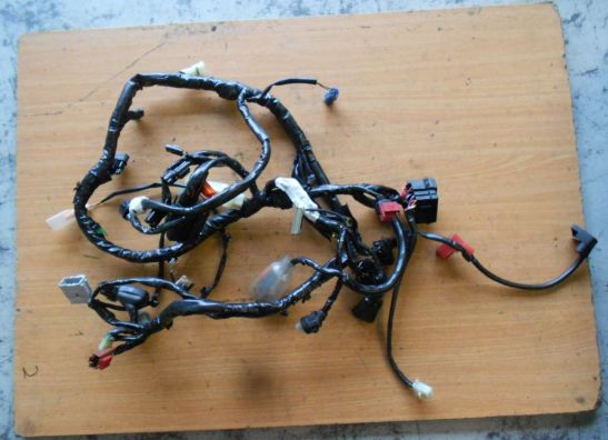 Wire Harness Honda CBR 600 F