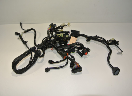 Wire Harness Yamaha MT 07