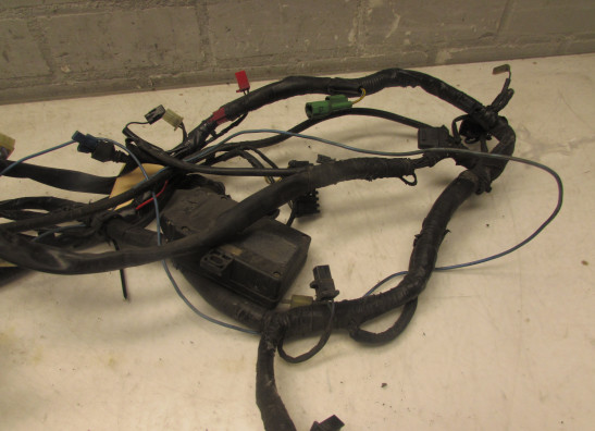 Kabelboom Honda ST 1100 Pan European