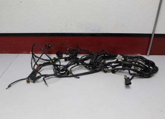 Kabelboom Ducati Monster 800 2003-2004