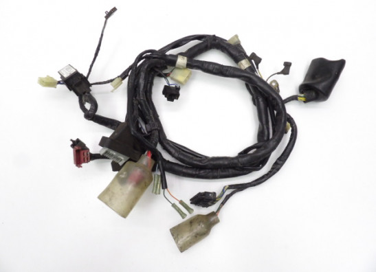 Wire Harness Honda CBR 1100 XX